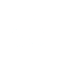 Office of Career Success